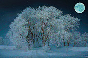Magical Winter Night Mixed Media by Alex Mir