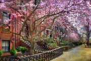 Magnolia Trees in Spring - Back Bay Boston Photograph by Joann Vitali