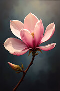 Magnolia Wall Art Vintage Oil Painting Digital Art by Vintage Wall Art