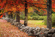 Maine Rock Wall under the Fall Colors Photograph by Jeff Folger