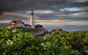 Maine's iconic lighthouse Photograph by Rudy Viereckl Maine's iconic lighthouse Photograph by Rudy Viereckl