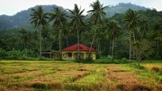 Malay House Photograph by Robert Bociaga