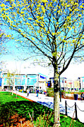Mall In Warsaw, Poland In Spring Photograph by John Siest