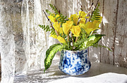 Mamas Flow Blue Pot Photograph by Jill Love