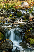 Mammoth Creek 1 Photograph by Kelley King