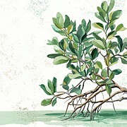 Mangrove Paintings Painting by Lourry Legarde Mangrove Paintings Painting by Lourry Legarde