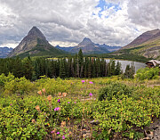 Many Glacier Viewpoint - Glacier National Park - Montana Photograph by Bruce Friedman Many Glacier Viewpoint - Glacier National Park - Montana Photograph by Bruce Friedman