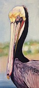 Marine Bird Painting by Jessy Chaidez