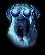 Mastiff Neon Dog Sunglasses Digital Art by Jacob Zelazny