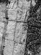 Mayan Wall Carvings - Chichen Itza Photograph by Frank Mari