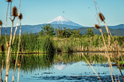 McLoughlin Reflection Photograph by Diane Moller McLoughlin Reflection Photograph by Diane Moller