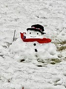 Melted Snowman Photograph by Keri LaGrave