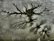 Melting ice  Photograph by Stephen Dorton