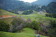 Mendocino County Backroads Photograph by Charlene Mitchell Mendocino County Backroads Photograph by Charlene Mitchell