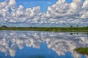 Merritt Island National Wildlife Refuge Photograph by Bill Barber Merritt Island National Wildlife Refuge Photograph by Bill Barber