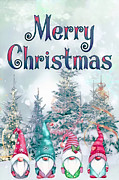 Merry Christmas III Photograph by Munir Alawi