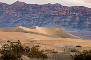 Mesquite Flat Sand Dunes Photograph by Cindy Shebley Mesquite Flat Sand Dunes Photograph by Cindy Shebley