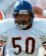 Michael Singletary Photograph by Action Photo