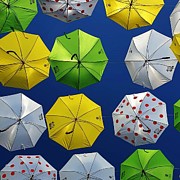 Might Rain Photograph by Andrea Whitaker