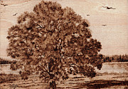 Mighty Oak Pyrography by Terri Mills
