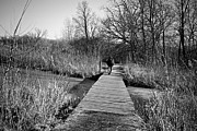 Mild Day Winter Wetlands - Black And White Photograph by Frank J Casella