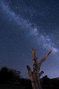 Milky Way Over the Desert 2 Photograph by Lisa Chorny Milky Way Over the Desert 2 Photograph by Lisa Chorny