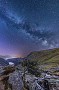 Milky Way Tree, Glendalough, Wicklow Mountains Photograph by Adrian Hendroff