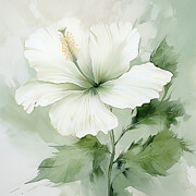 Minimalist White Flower Painting - Hibiscus Prints Painting by Lourry Legarde Minimalist White Flower Painting - Hibiscus Prints Painting by Lourry Legarde