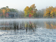 Misty Autumn Morning At Batsto Lake and Mill Photograph by Kristia Adams