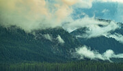 Misty Mountain Majesty Photograph by Bill Posner