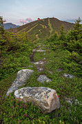 Mittersill Summer Sunset Light Photograph by White Mountain Images Mittersill Summer Sunset Light Photograph by White Mountain Images