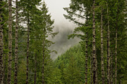 Mixing clouds Photograph by Bill Posner