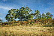 MN Point and Dunes_2362 Photograph by Mark Triplett MN Point and Dunes_2362 Photograph by Mark Triplett
