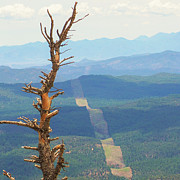 Mogollon Rim Photograph by Grey Coopre