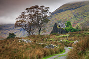 Molly's Cottage, Black Valley, Co Kerry Photograph by Adrian Hendroff
