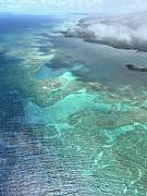Molokai Island Reef Photograph by Beverly Read