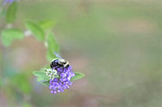 Moment in Time Photograph by Amy Dundon