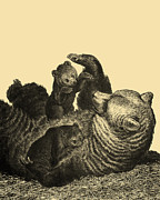 Momma Bear Digital Art by Madame Memento