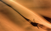 Mongolian Gobi Photograph by Bat-Erdene Baasansuren