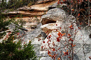 Monkey Rock A Nature's Sculpture at Lost Maples State Park in the Texas Hill Country Photograph by Brigitte Blanchette Thompson Monkey Rock A Nature's Sculpture at Lost Maples State Park in the Texas Hill Country Photograph by Brigitte Blanchette Thompson