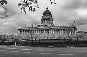 Monochrome Majesty - Utah's Capitol in Grayscale Photograph by Brigitte Blanchette Thompson