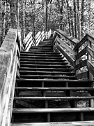 Monochrome Study of Wooden Stairs at Stone Mountain in North Car Photograph by Charles Floyd Monochrome Study of Wooden Stairs at Stone Mountain in North Car Photograph by Charles Floyd