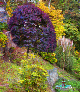 Monserrate, Colombia Painting by Trask Ferrero Monserrate, Colombia Painting by Trask Ferrero