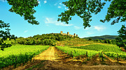 Monteriggioni medieval fortified village and vineyards, Siena, T Photograph by Stefano Orazzini