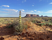Monument Valley Photograph by Joe Schofield