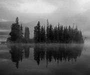 Moody Forest Reflection Black And White Photograph by Dan Sproul Moody Forest Reflection Black And White Photograph by Dan Sproul