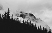 Moody Mountain Forest In Canada Photograph by Dan Sproul Moody Mountain Forest In Canada Photograph by Dan Sproul