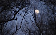 Moon among the branches Photograph by Robert Gluck Moon among the branches Photograph by Robert Gluck
