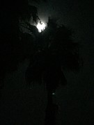 Moon Over Jamaica  Photograph by Lisa White