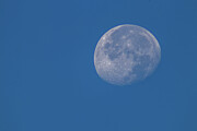 Celestial Glow in Daylight Photograph by Brigitte Blanchette Thompson